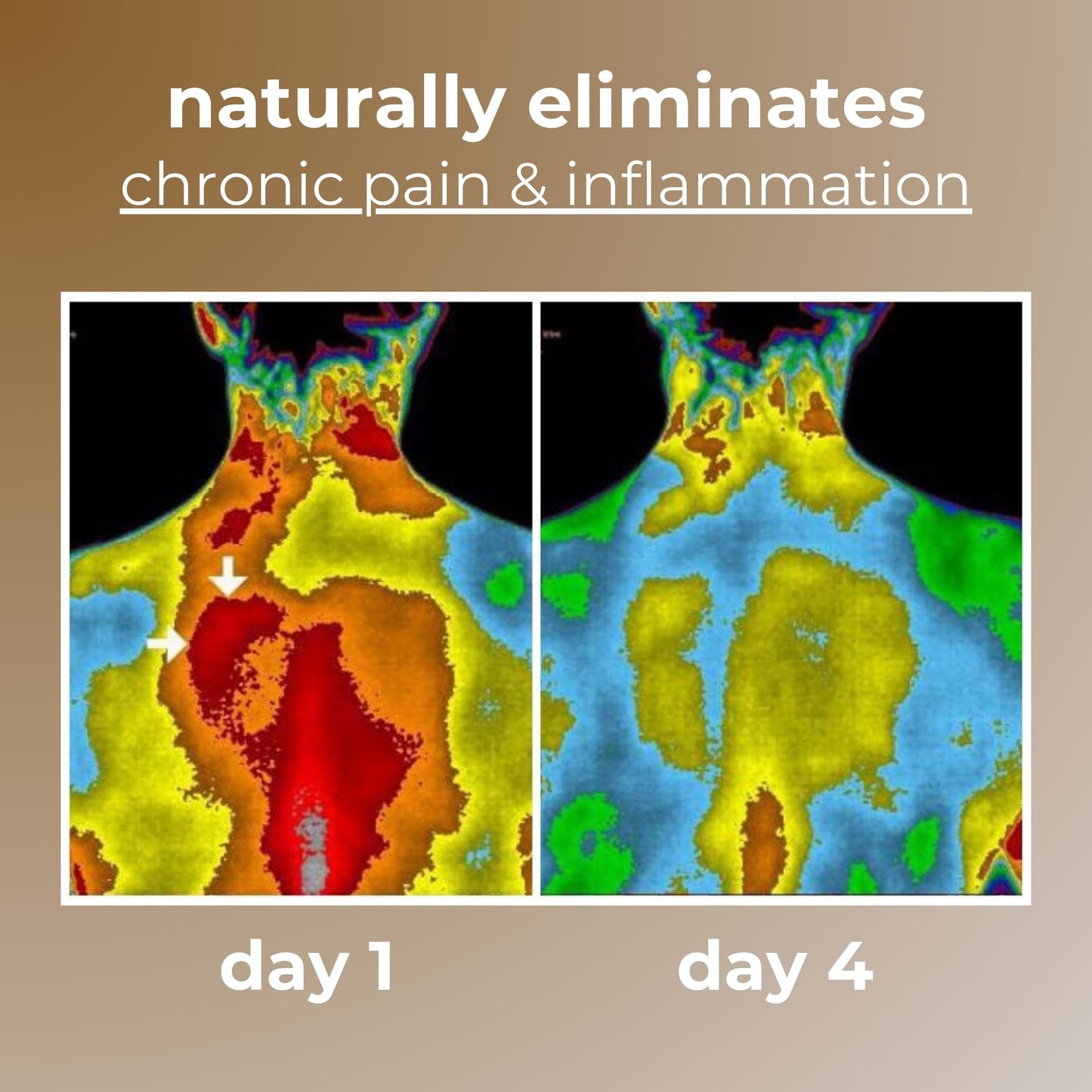 Serenithy™ Grounding Pillow