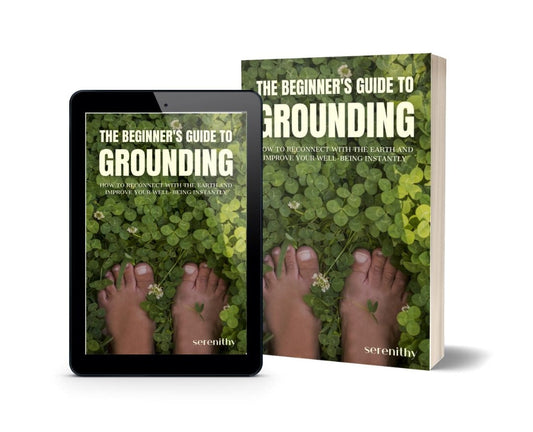 E-book: Grounding For Beginners (FREE GIFT)
